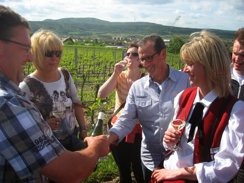 Landesgartenschau 2015