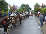 Ringreiten Ostrohe 2017